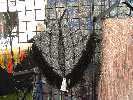 shoulder Shawl